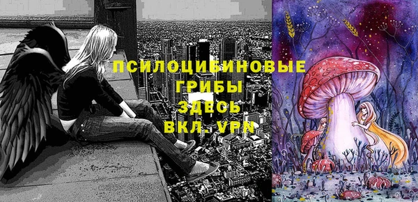 прущие грибы Алексеевка