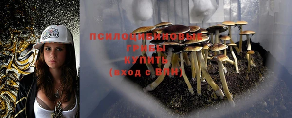 Альфа ПВП Алексин