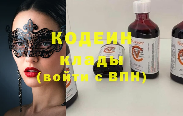 прущие грибы Алексеевка