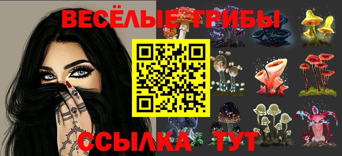 Галлюциногенные грибы Psilocybe Переславль-Залесский