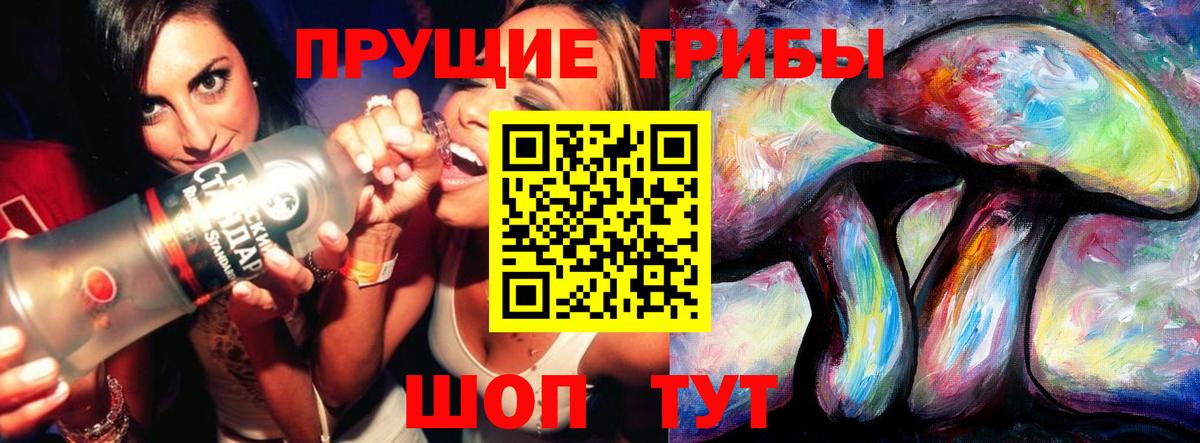 Переславль-Залесский  где можно купить   Вход с VPN  Псилоцибиновые грибы Cubensis 